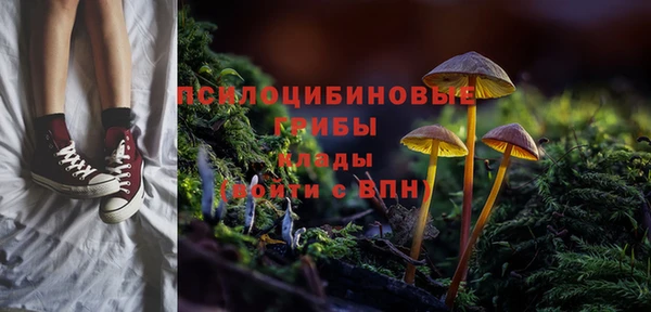 MDMA Беломорск