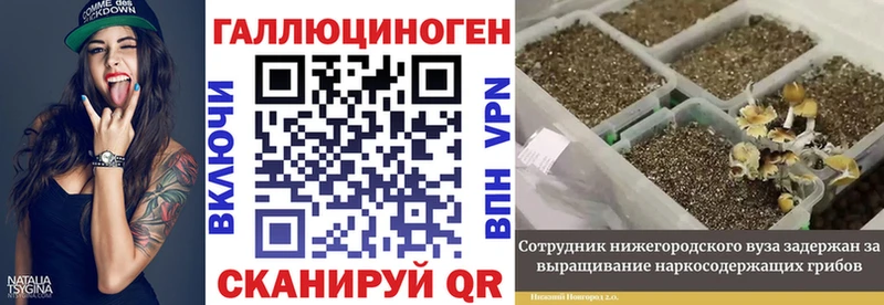 Псилоцибиновые грибы Psilocybine cubensis  Купить  Малая Вишера 